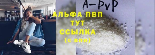 прущие грибы Богородицк