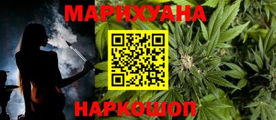 гашик Кингисепп