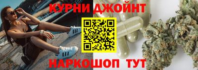 гашик Кингисепп