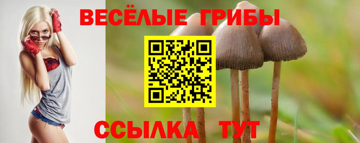 Галлюциногенные грибы ЛСД Шадринск