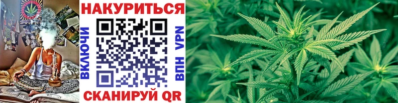 купить   Шадринск  Канабис THC 21% 